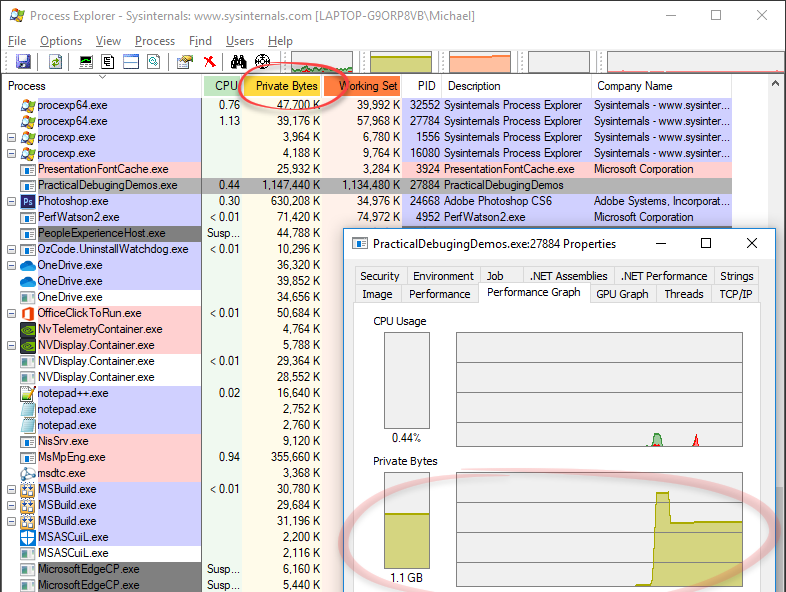 Process Explorer Private Bytes