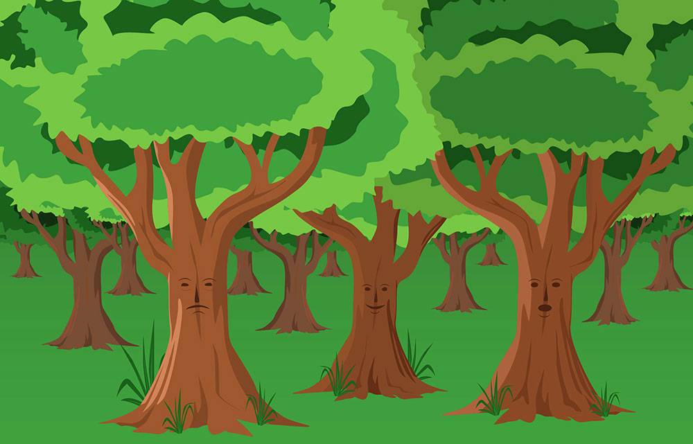 Dynamic Queries with Expressions Trees in C#